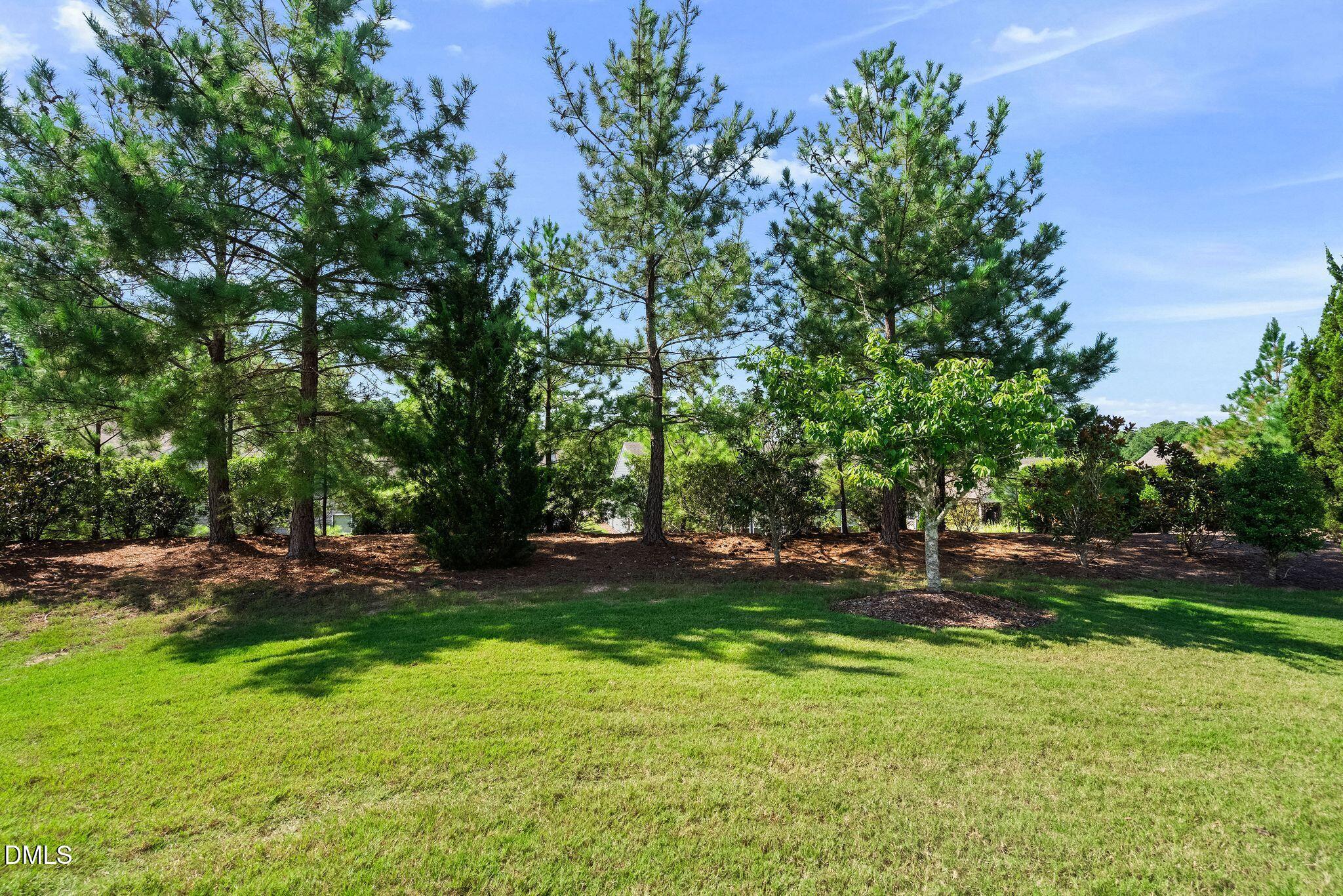 209 Rosedale Creek Drive Property Photo 22