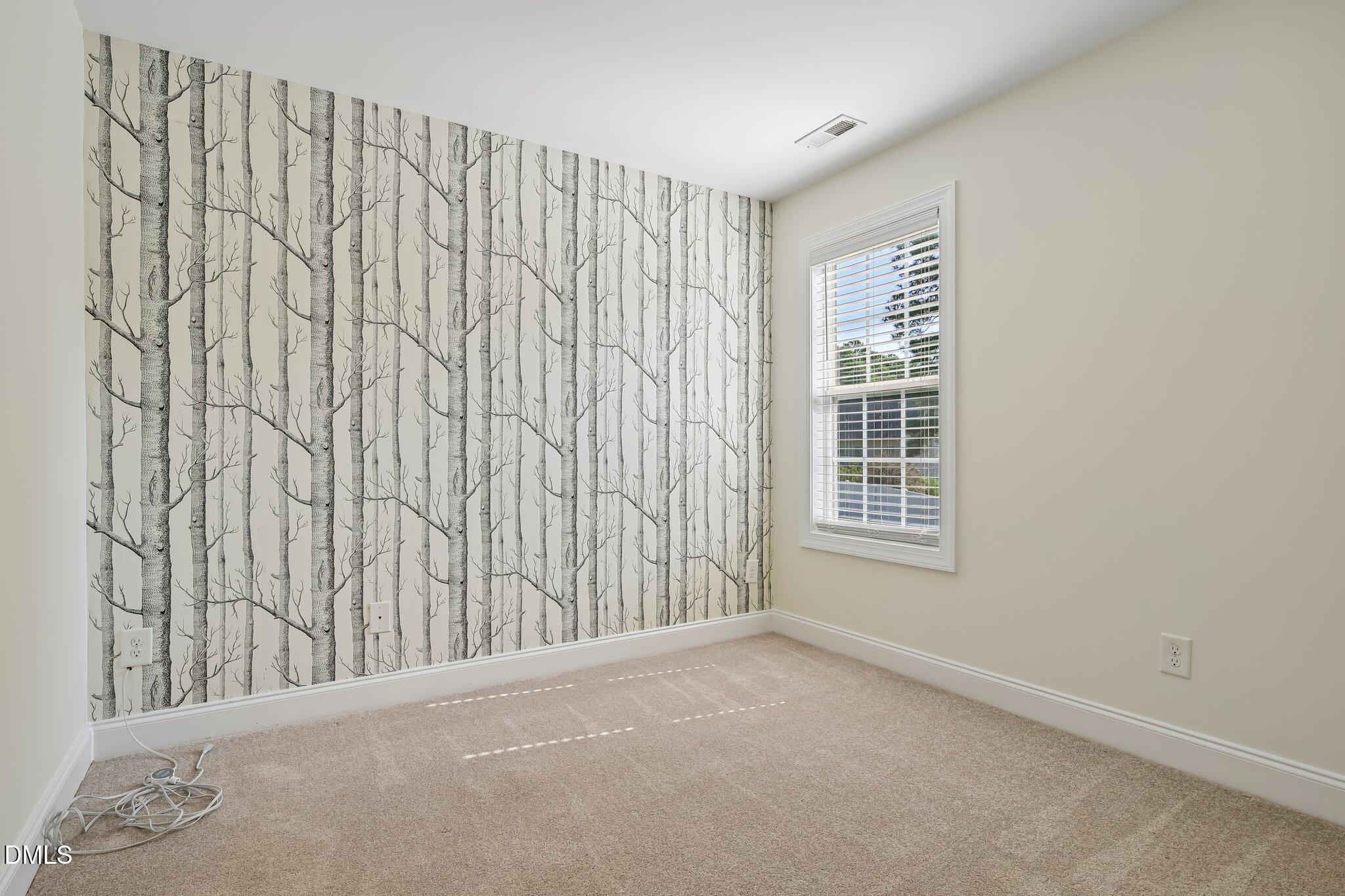 133 Raleigh Street Property Photo 26