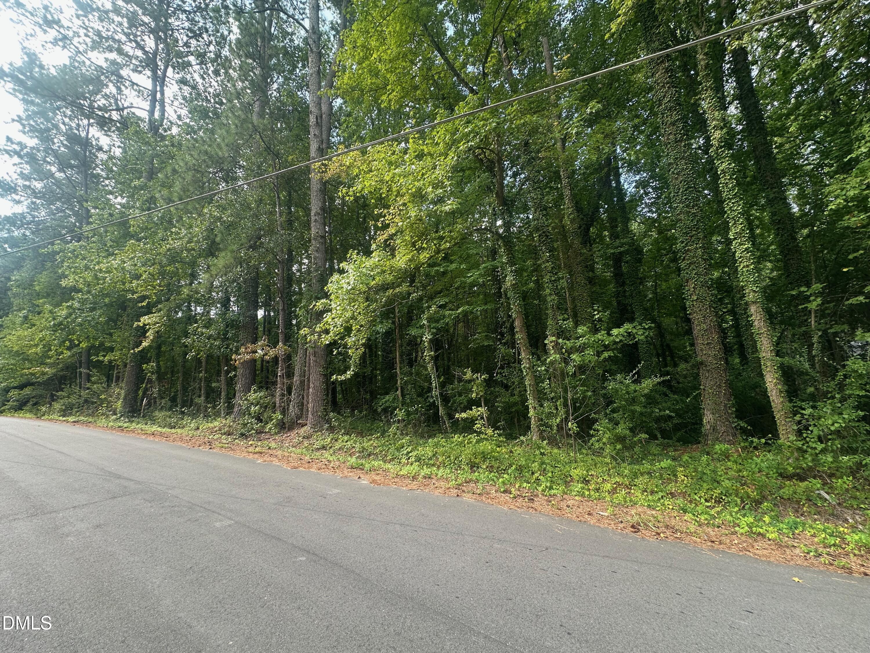 0 Lakeside Trail Property Photo 1