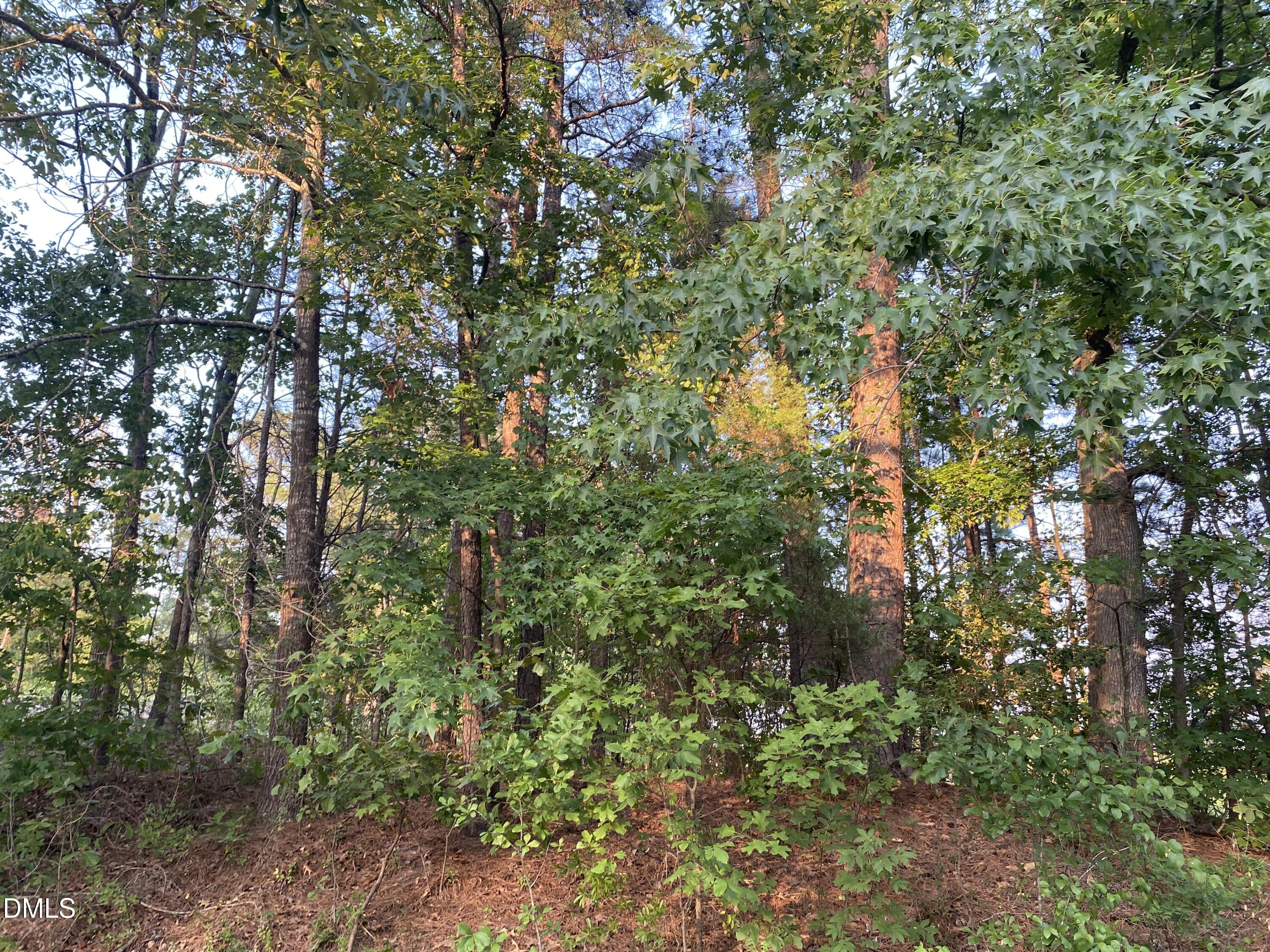 2417 Holiday Drive Property Photo 1