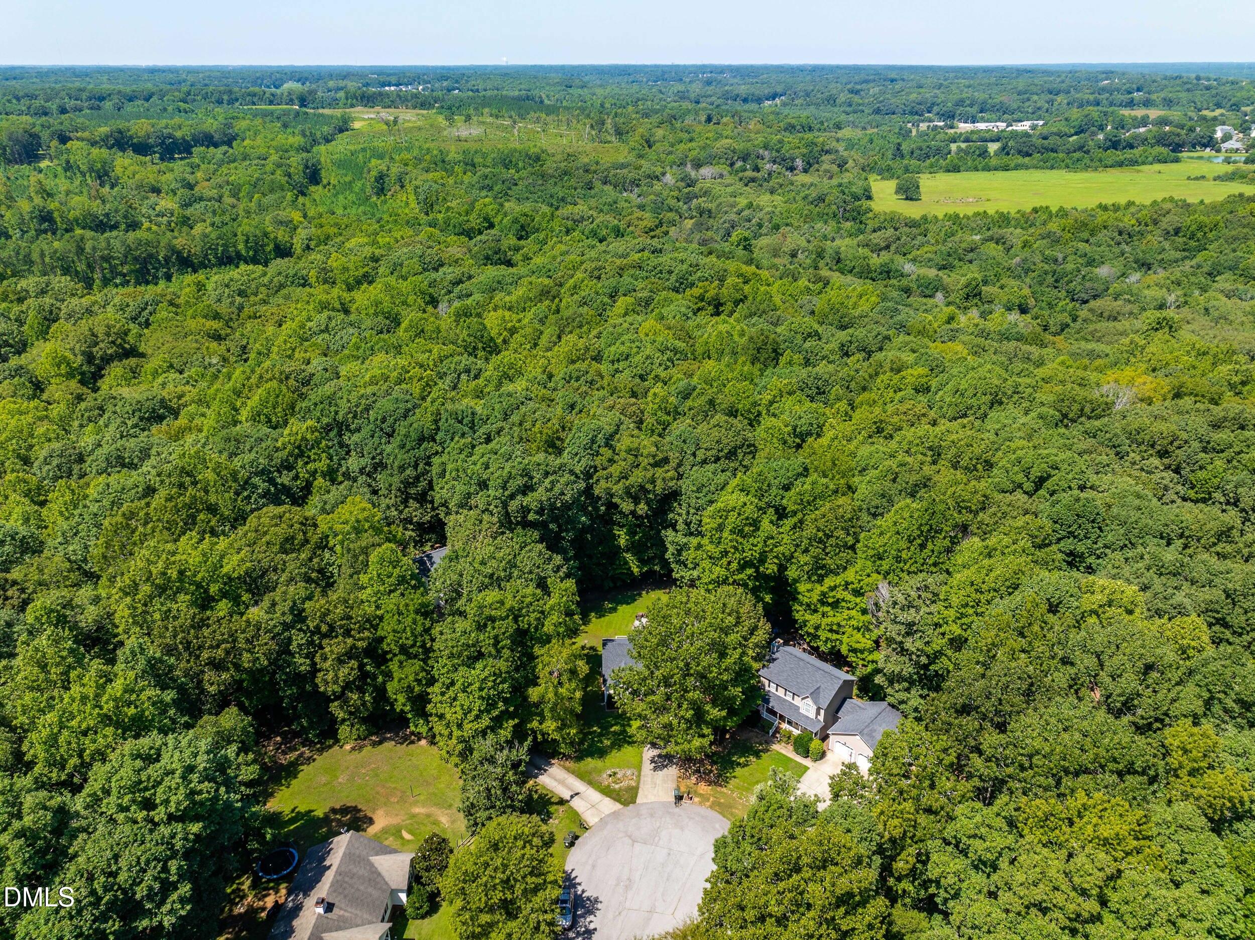 6201 Lilly Stream Court Property Photo 30