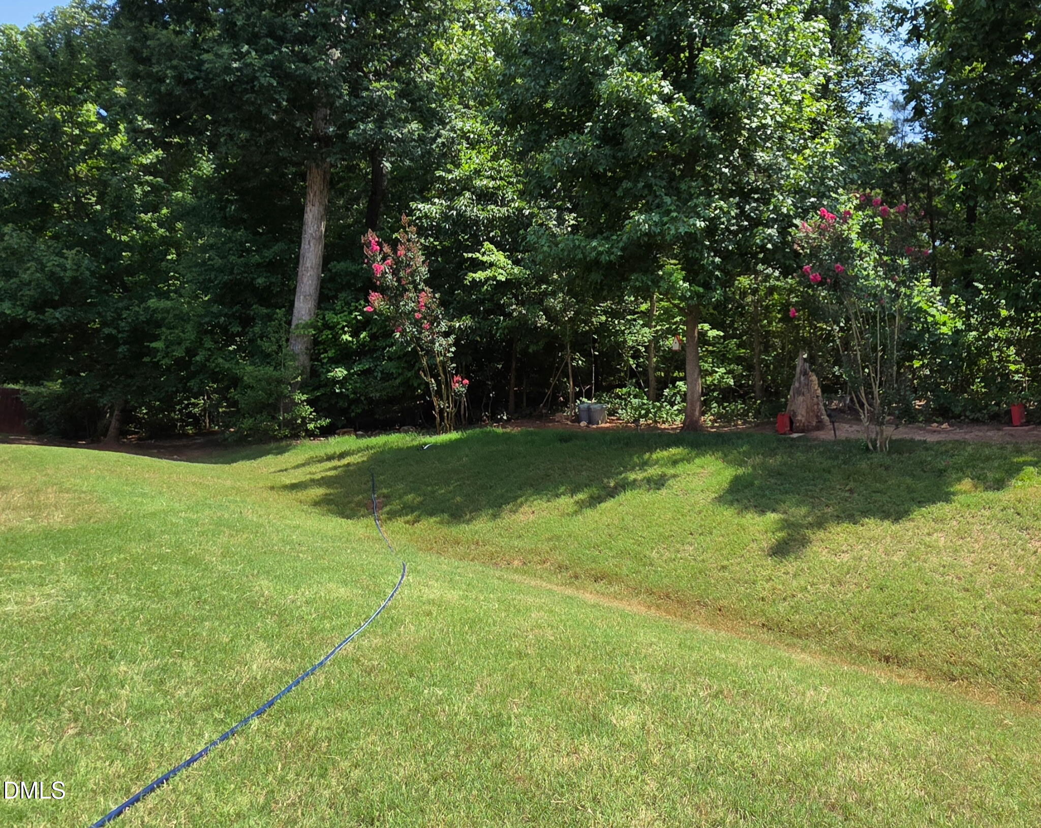 331 Sugarberry Lane Property Photo 29