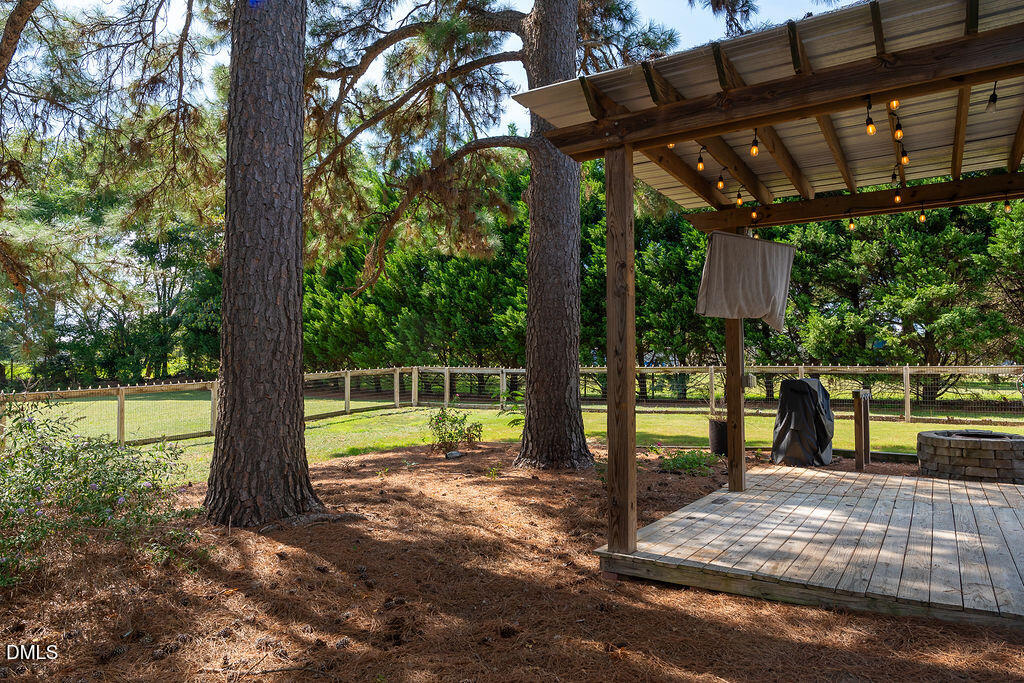 3199 Nc-55 Property Photo 46