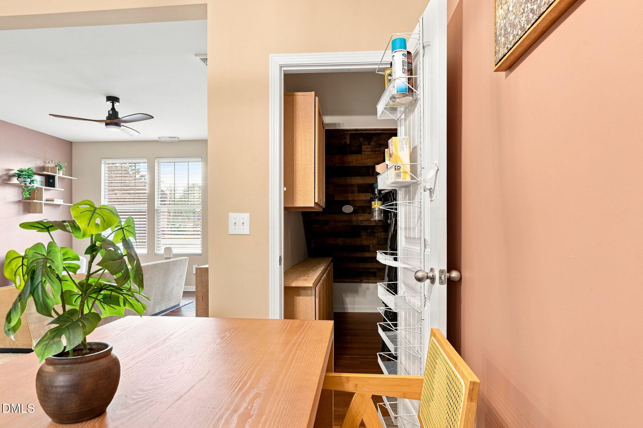 442 Carthage Court Property Photo 16