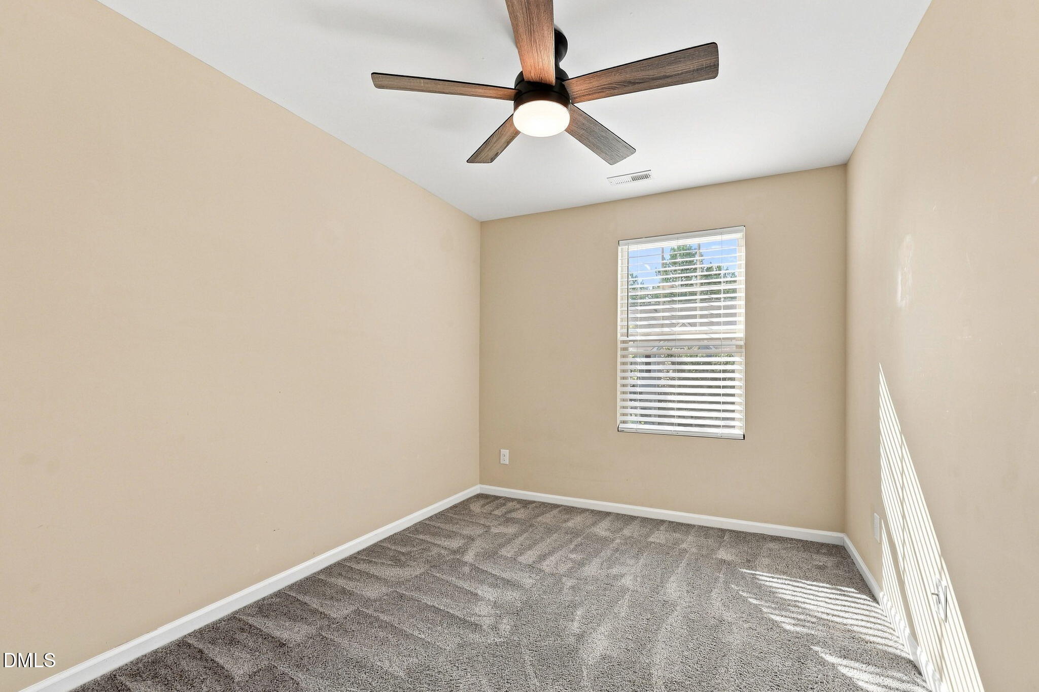 442 Carthage Court Property Photo 21