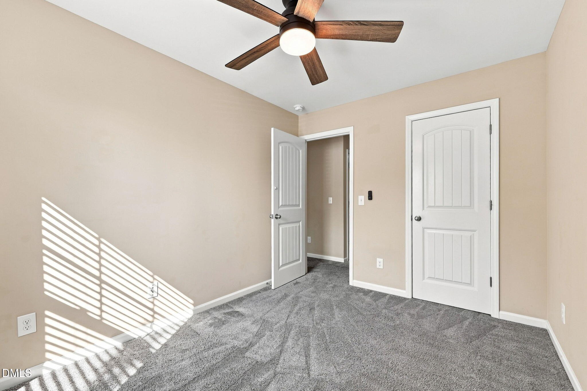 442 Carthage Court Property Photo 22