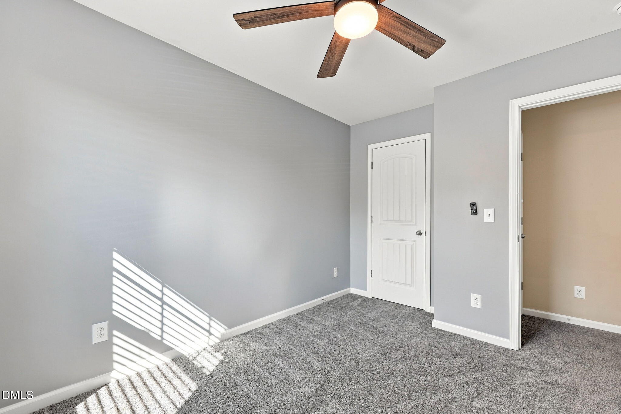 442 Carthage Court Property Photo 25
