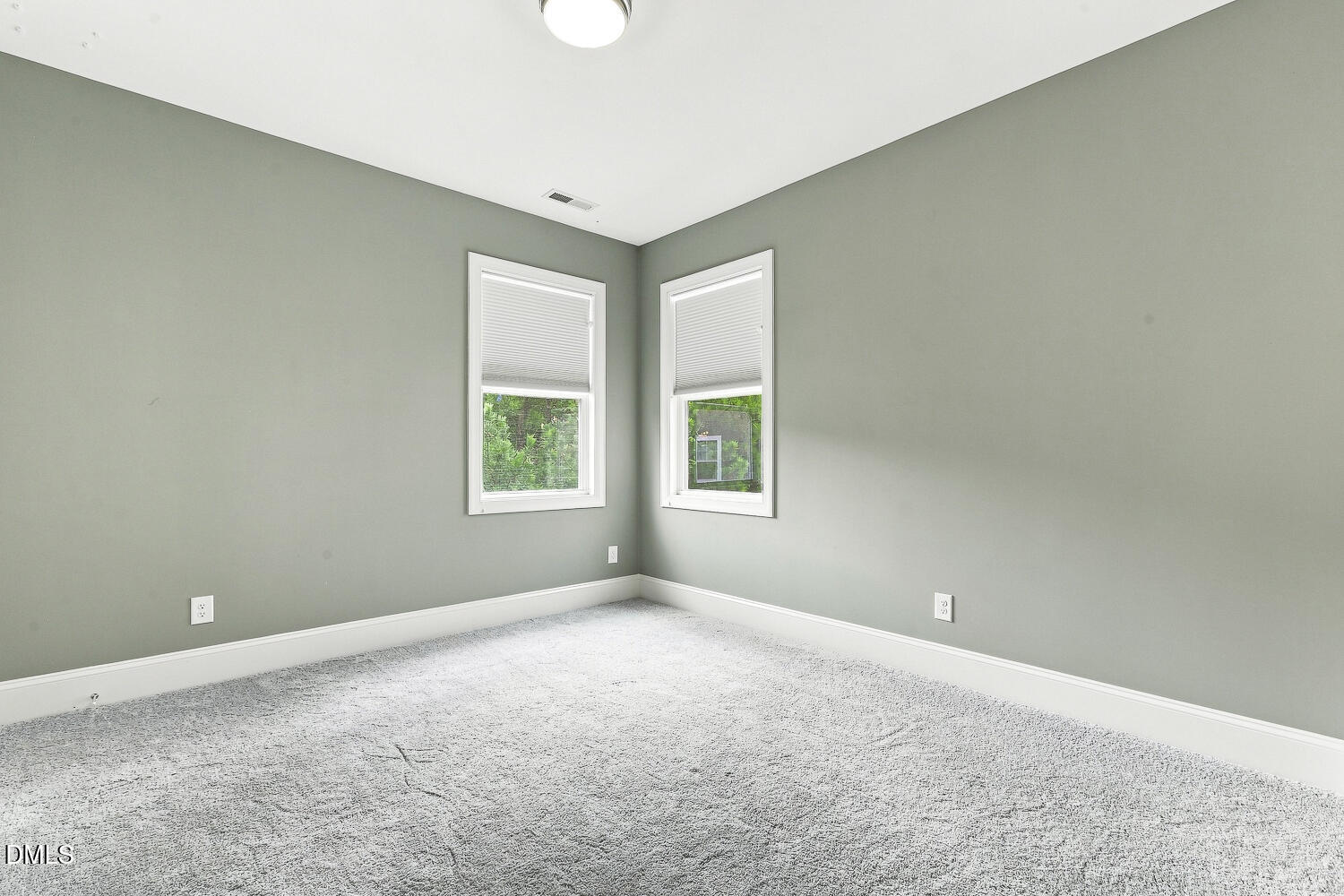 2703 Cameron Pond Drive Property Photo 60