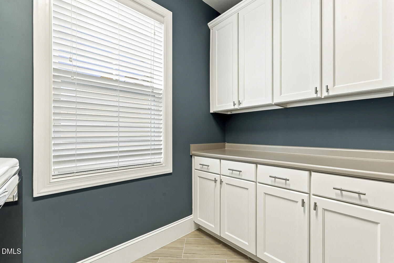 2703 Cameron Pond Drive Property Photo 64