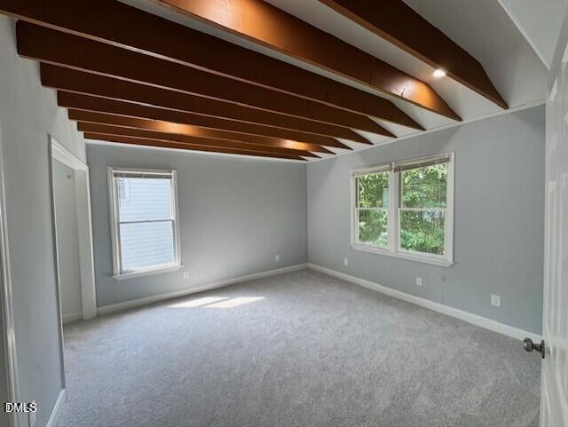 302 Rushingwater Drive Property Photo 10