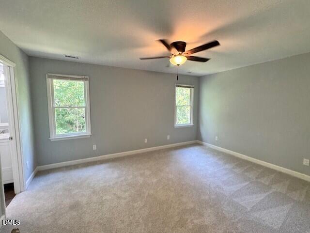 302 Rushingwater Drive Property Photo 13