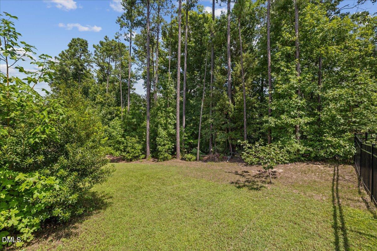 332 White Iris Lp Property Photo 73