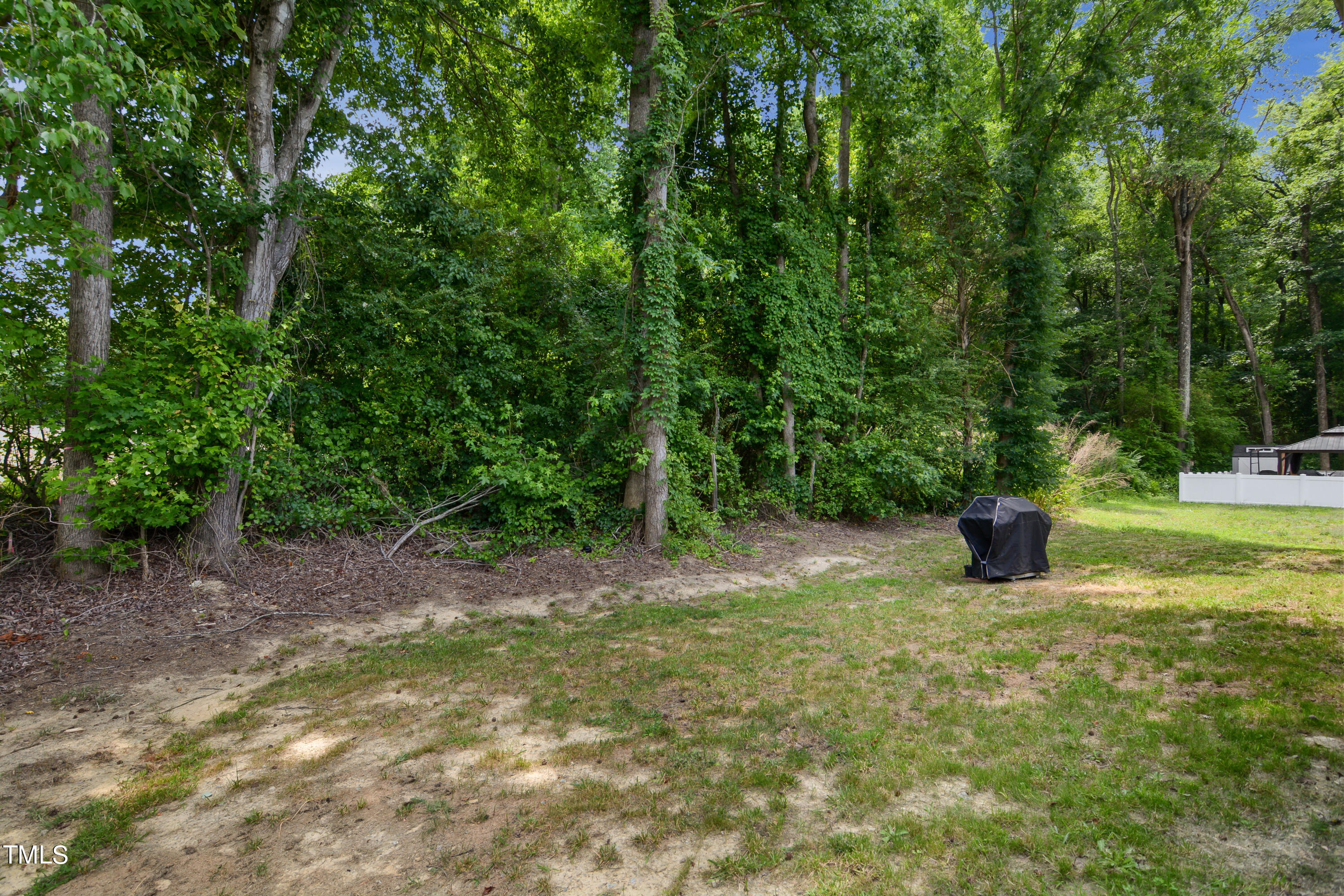 97 Chris Todd Way Property Photo 17