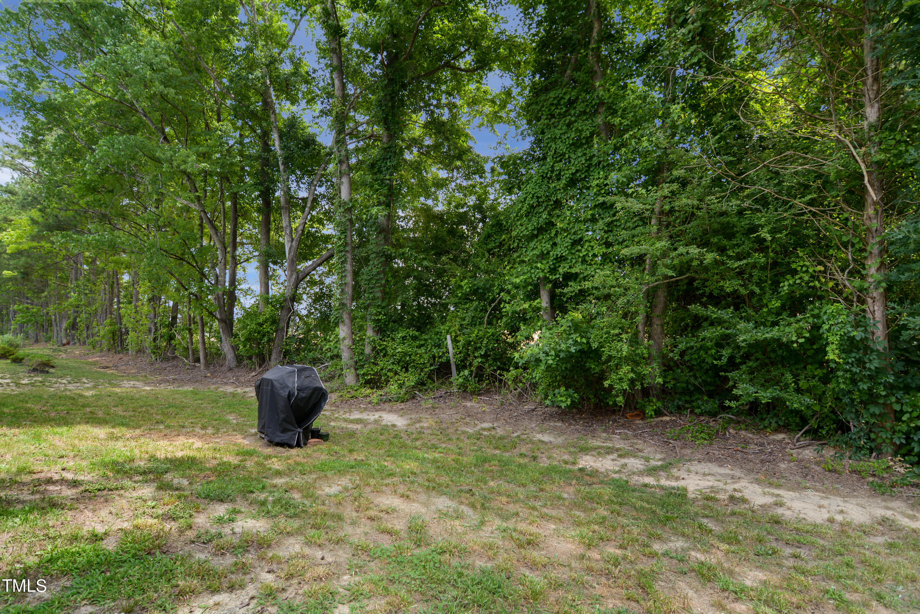 97 Chris Todd Way Property Photo 18