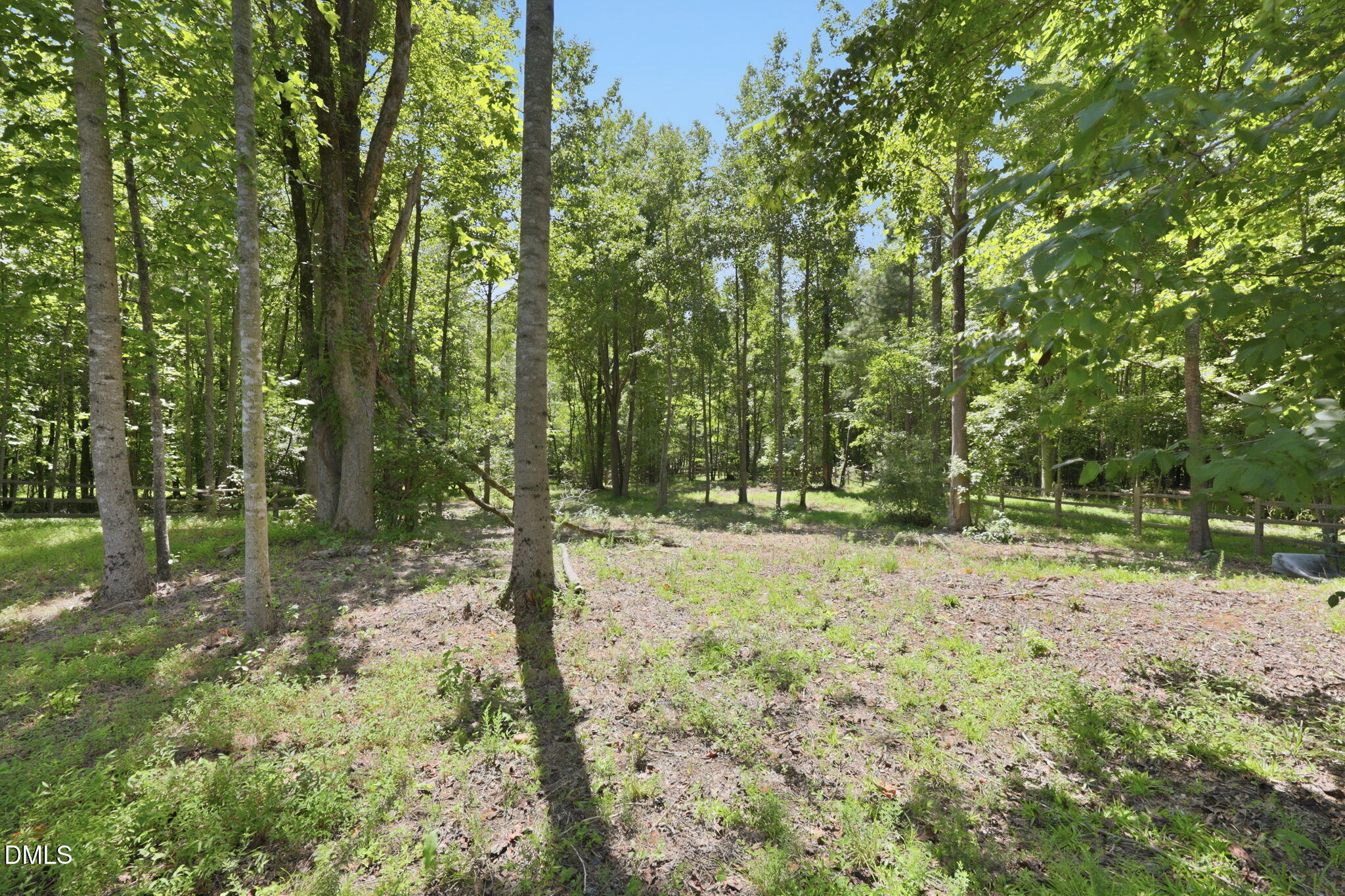 299 Roseberry Loop Property Photo 53