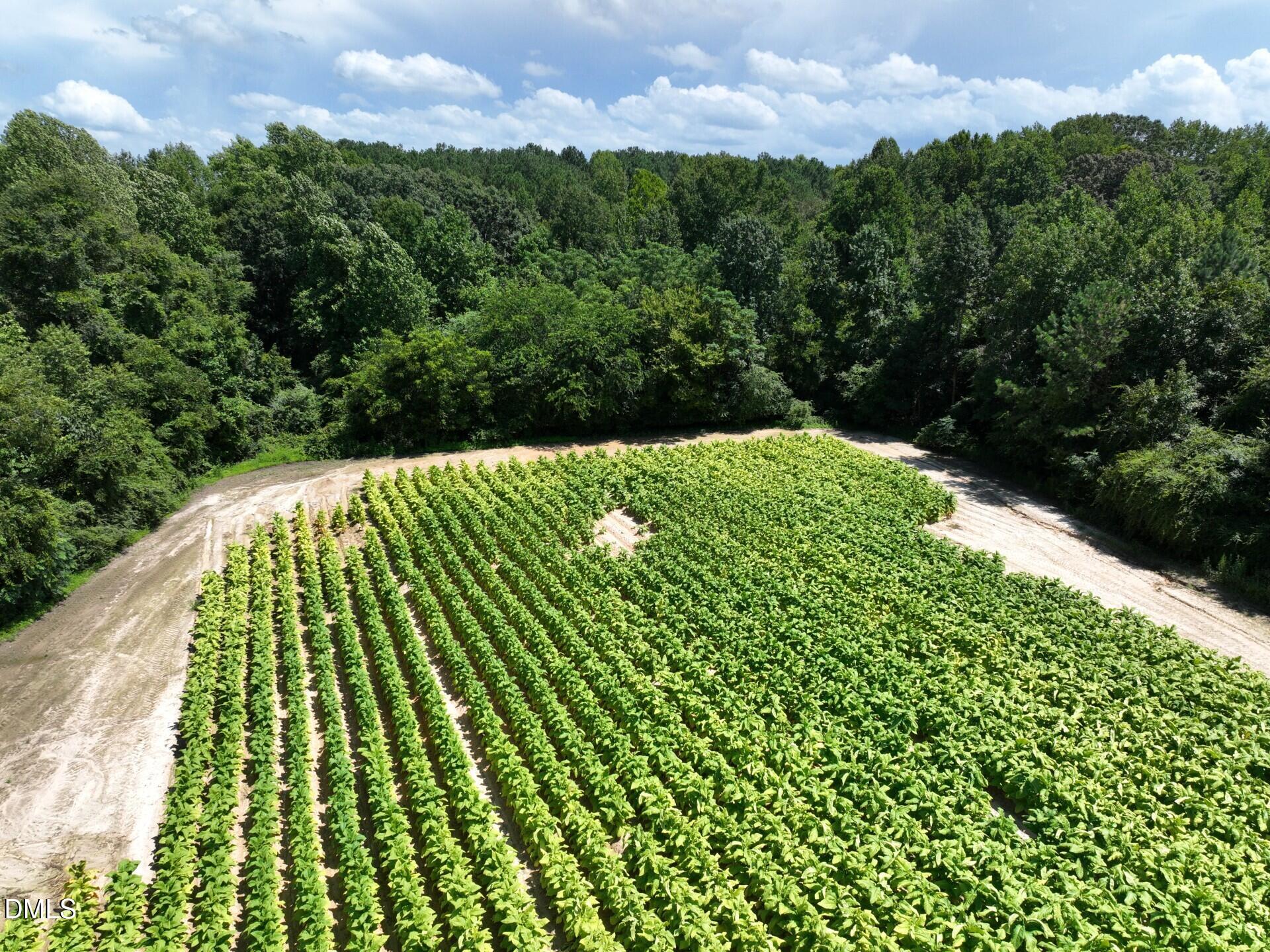 Lot 2 River Run Road Property Photo 18