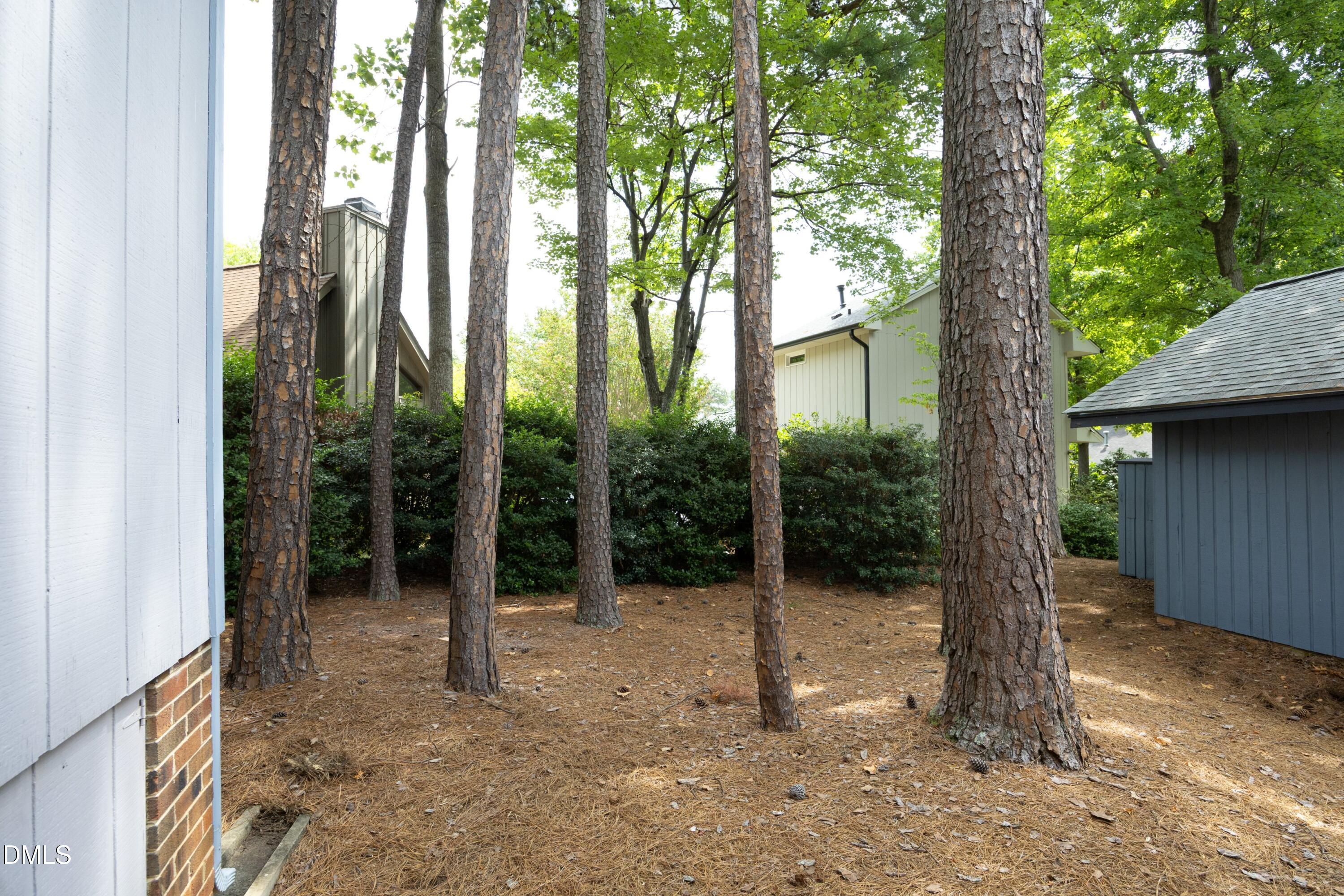 3004 Rue Sans Famille Property Photo 36