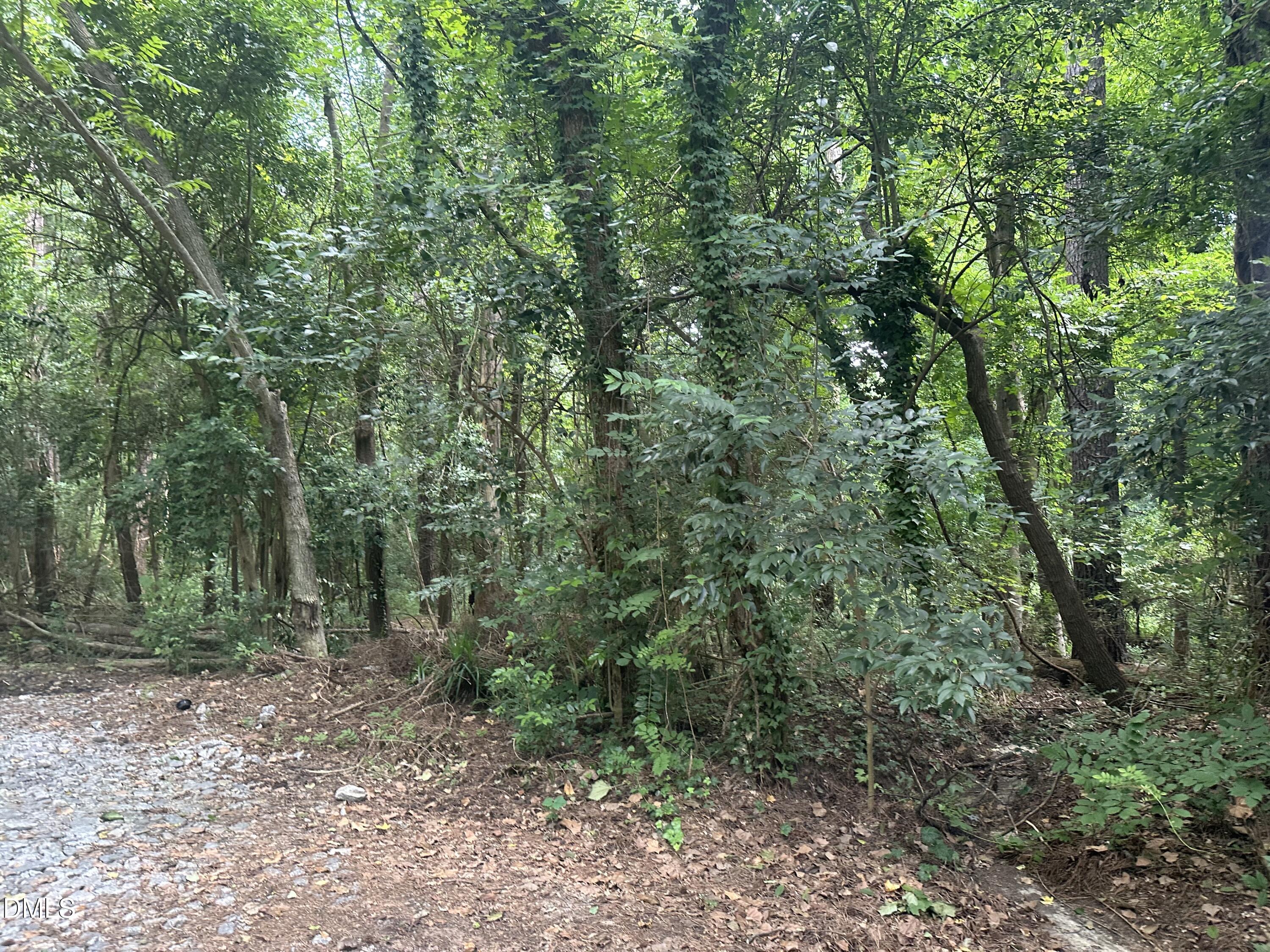 0 Cedar Lane Property Photo 1