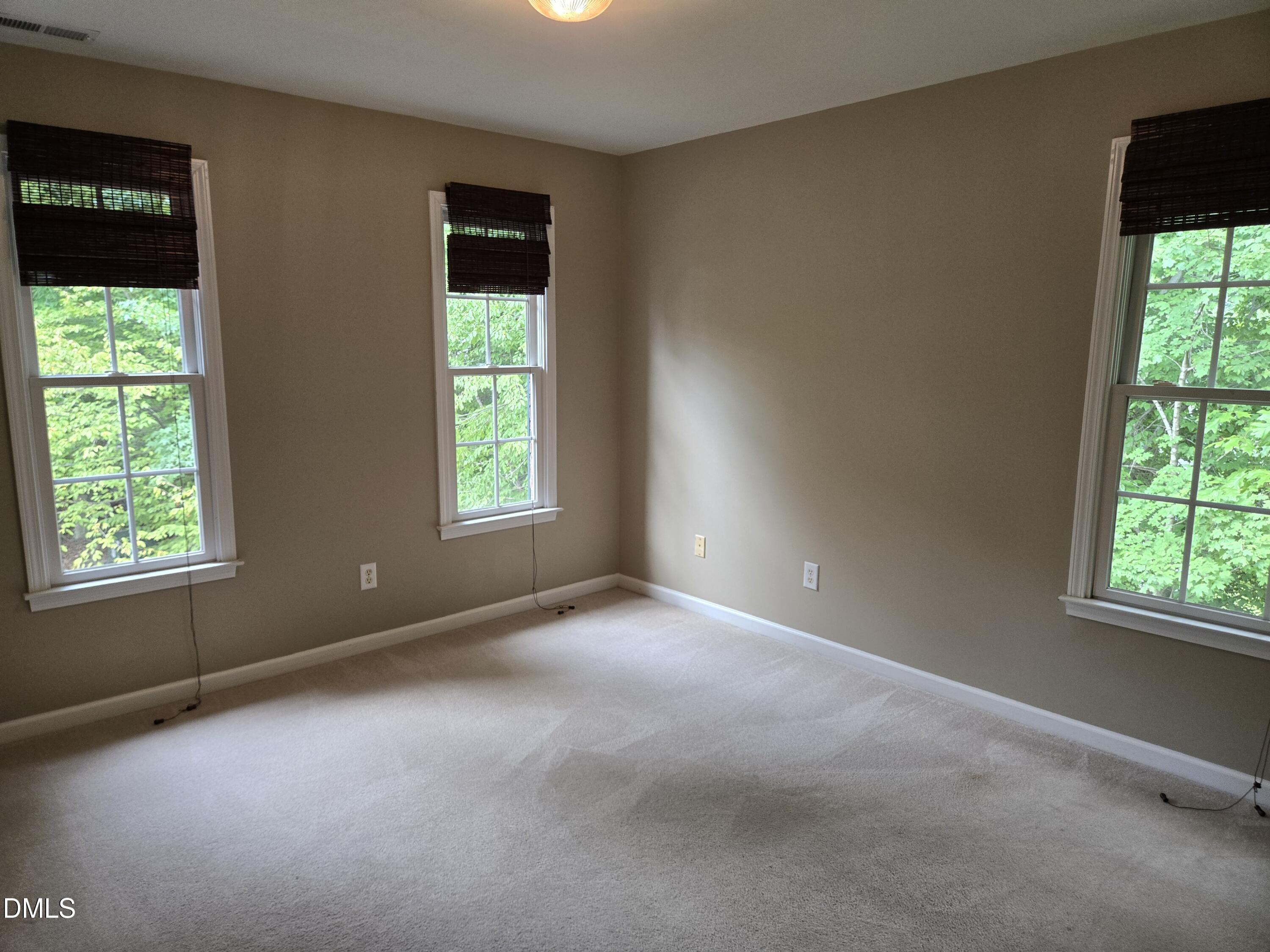 5 Spreading Oak Court Property Photo 16