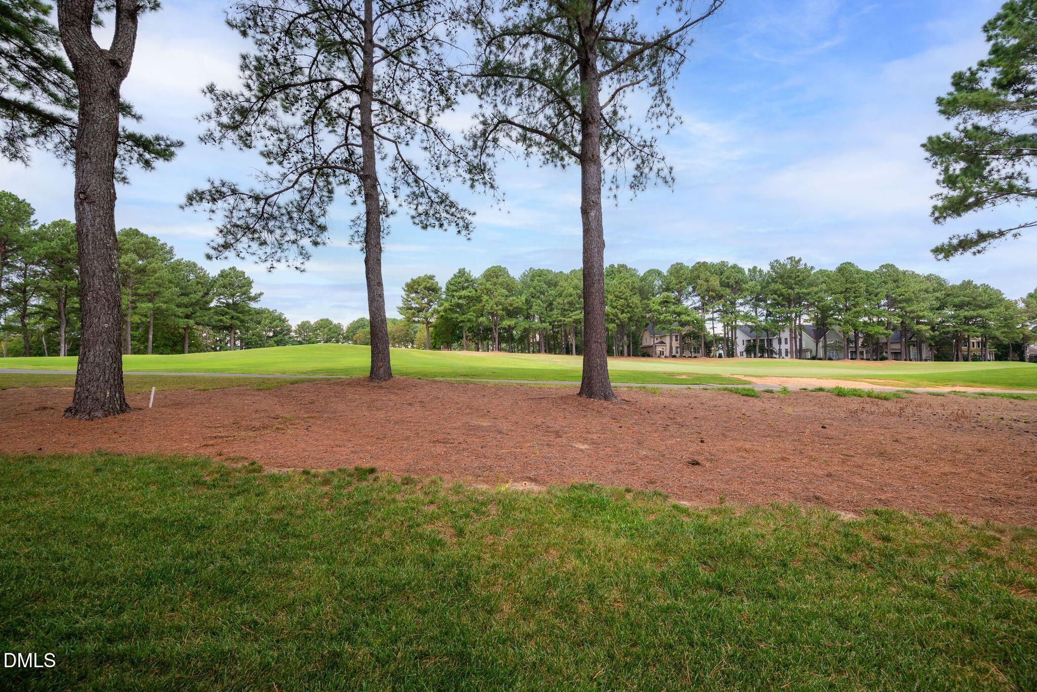 1413 Heritage Links Drive Property Photo 50