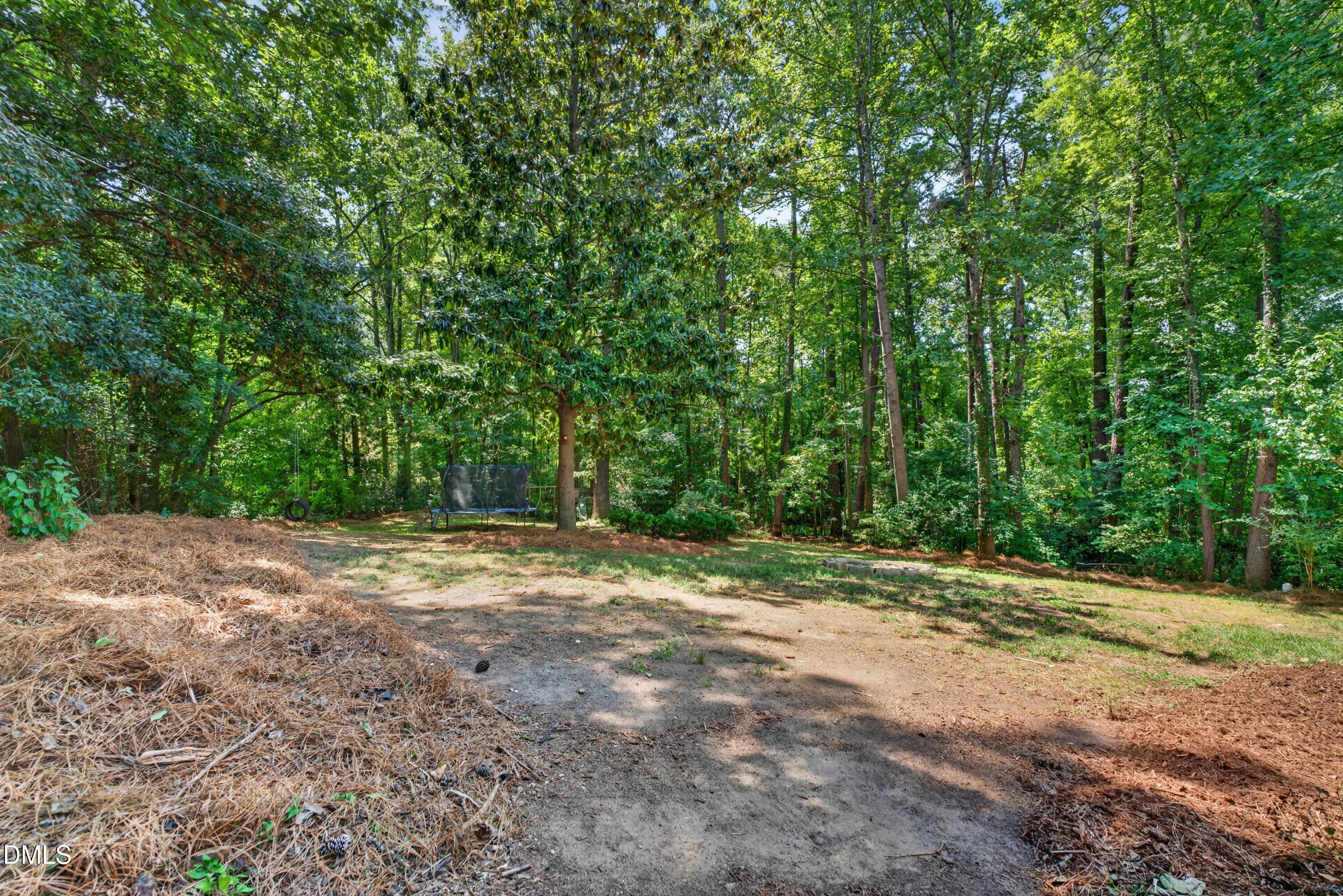 1434 Cedar Branch Court Property Photo 47