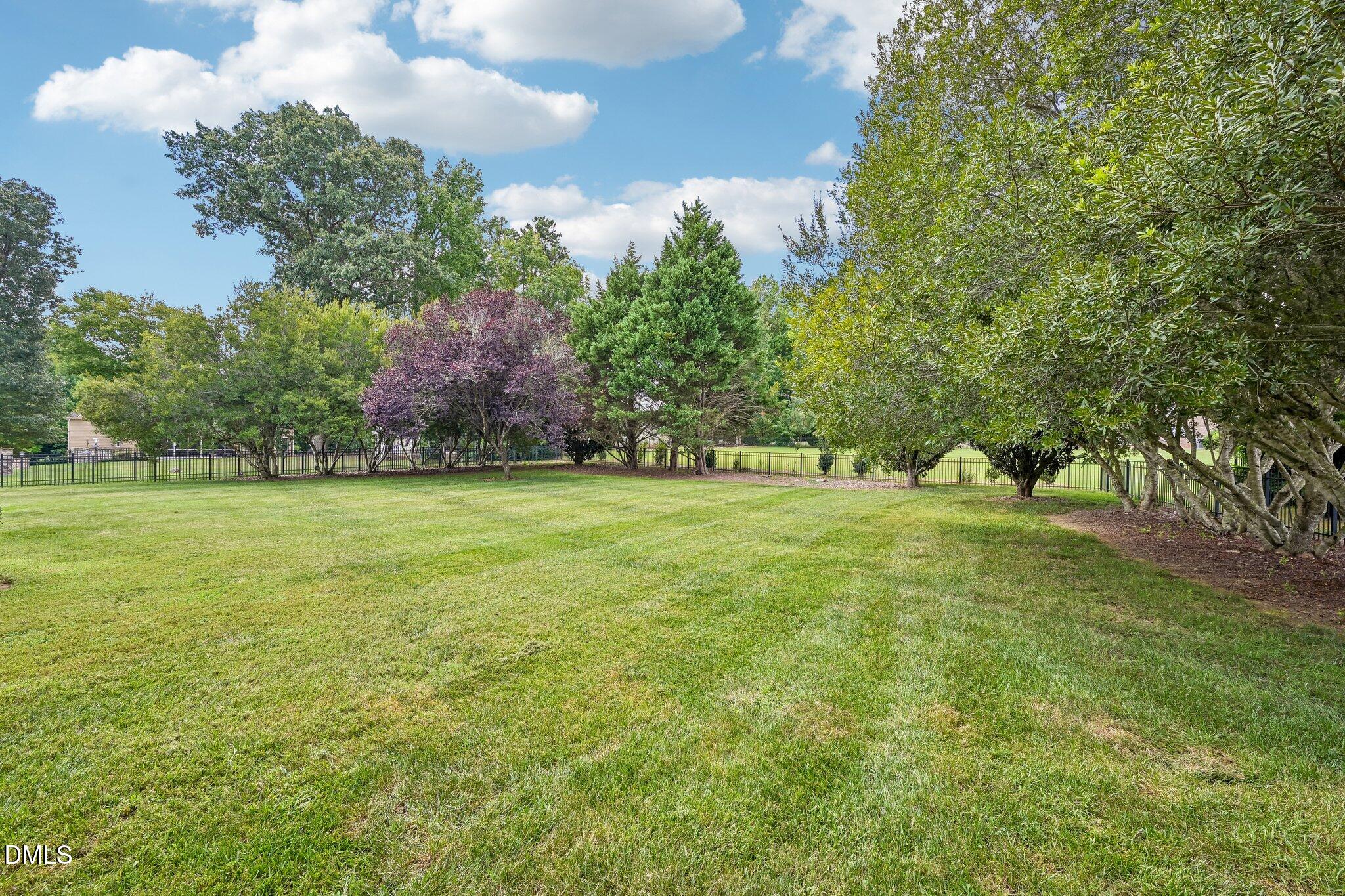 4104 Banks Stone Drive Property Photo 38