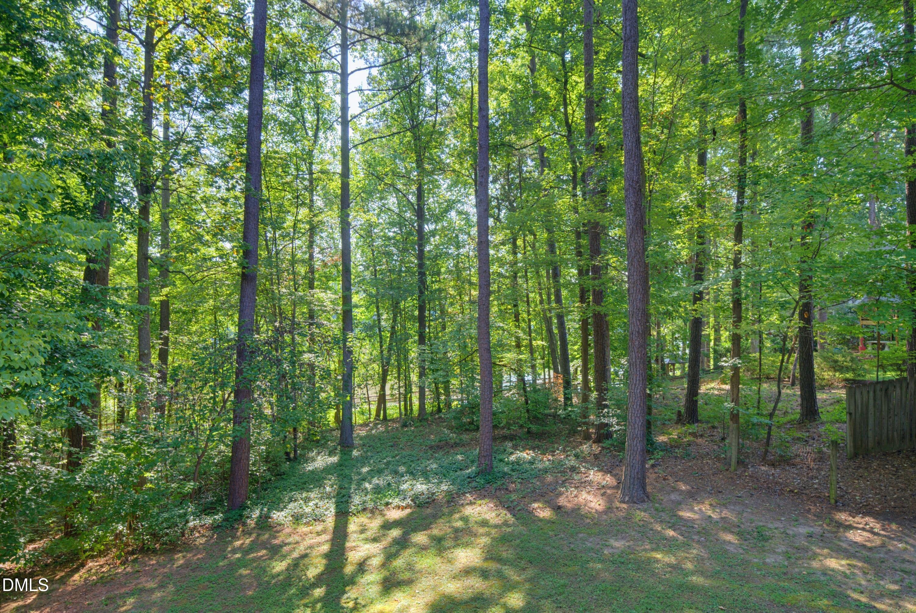 7604 Glenharden Drive Property Photo 47