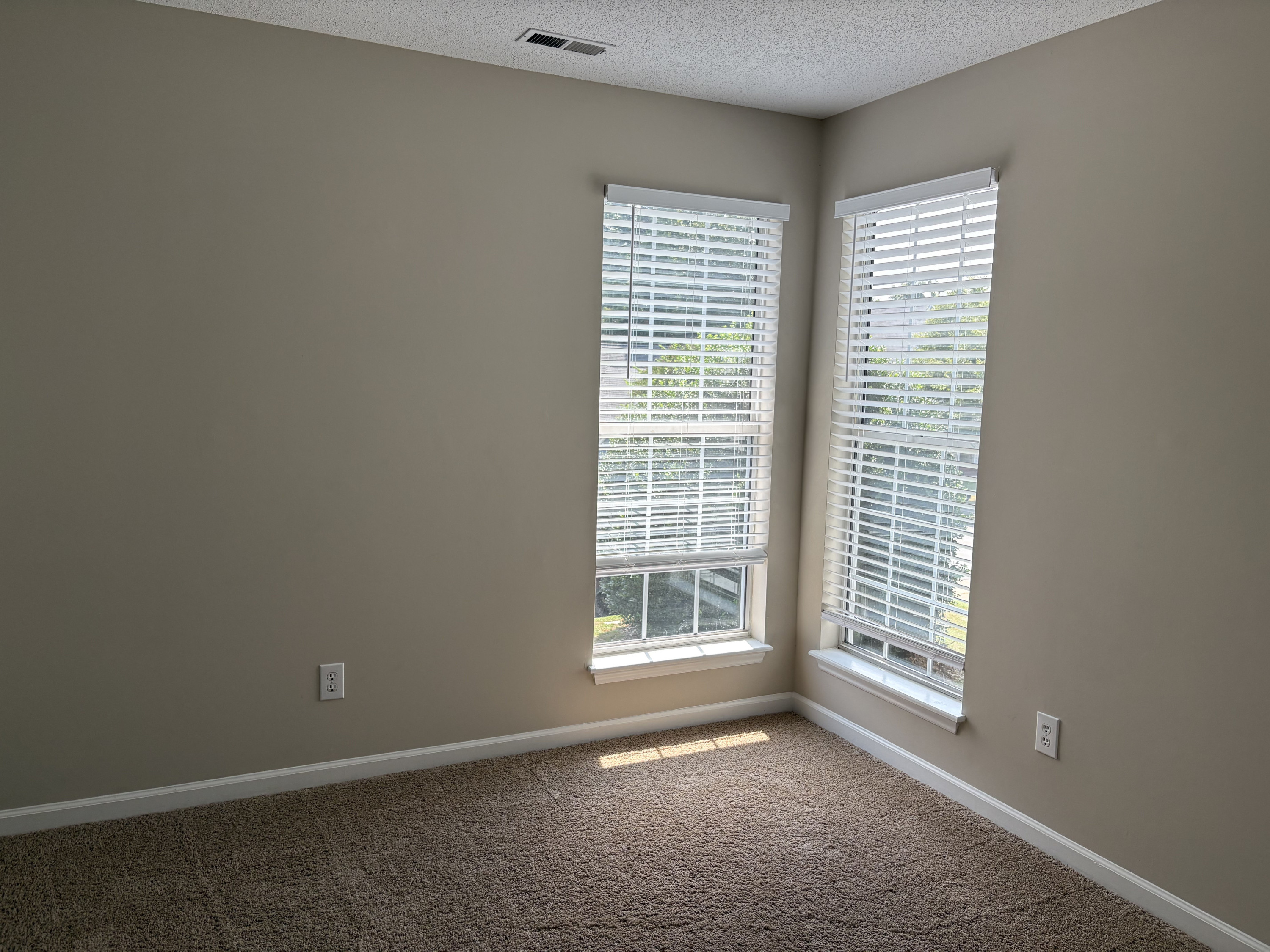 2505 Constitution Drive Property Photo 37
