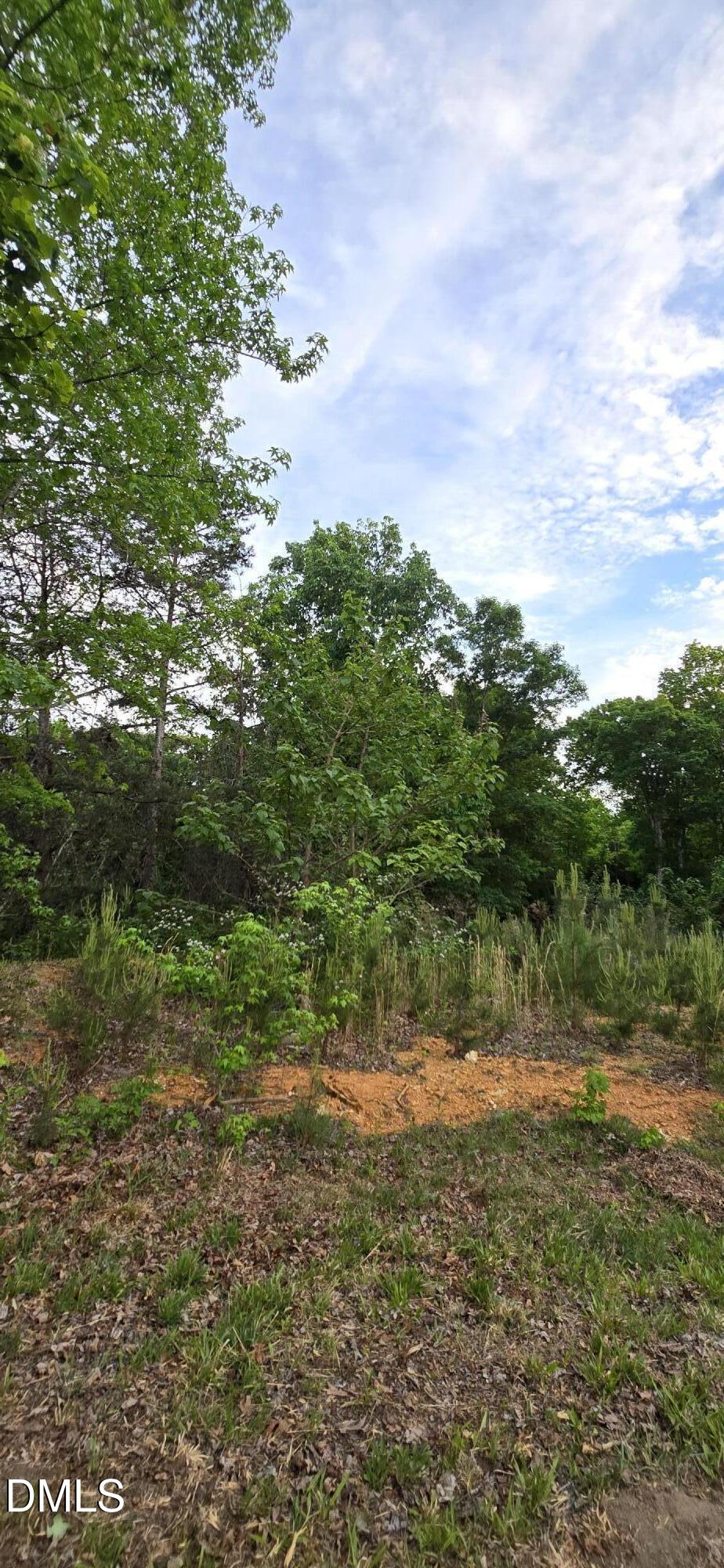 6530 Treetop Court Property Photo 1