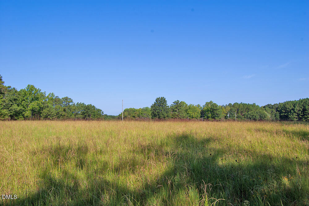 1738 Laurel Mill-centerville Road Property Photo 3