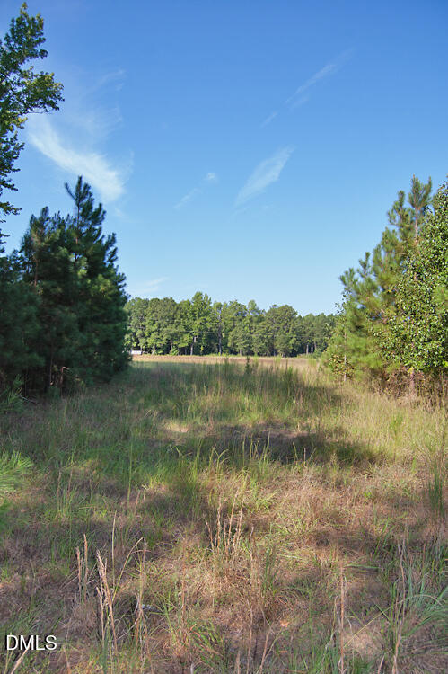 1738 Laurel Mill-centerville Road Property Photo 7