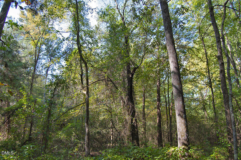 1738 Laurel Mill-centerville Road Property Photo 8