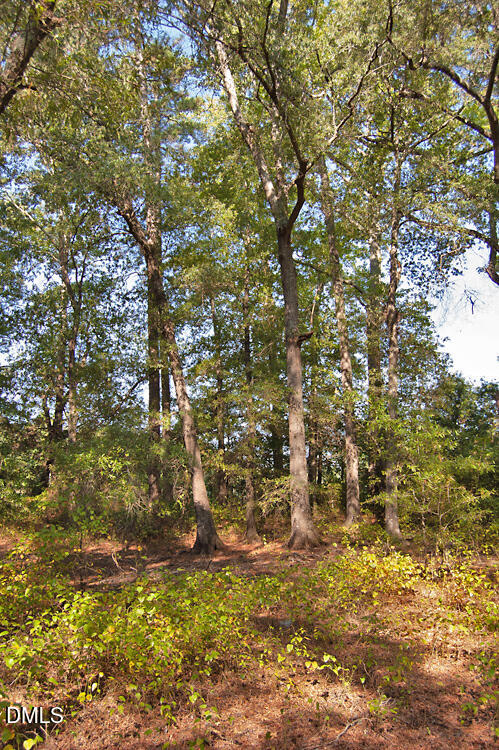 1738 Laurel Mill-centerville Road Property Photo 10
