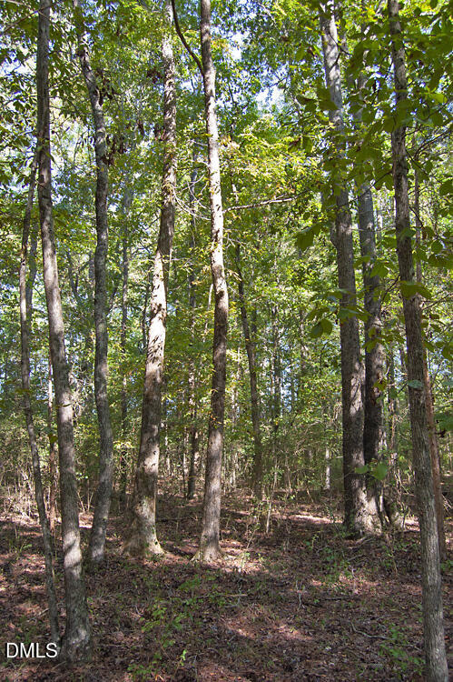 1738 Laurel Mill-centerville Road Property Photo 14