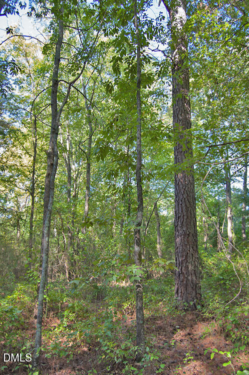 1738 Laurel Mill-centerville Road Property Photo 17