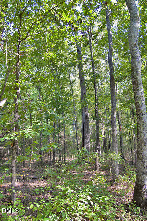 1738 Laurel Mill-centerville Road Property Photo 19