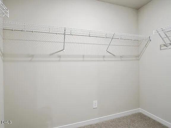 134 N Field Sparrow Way Property Photo 12