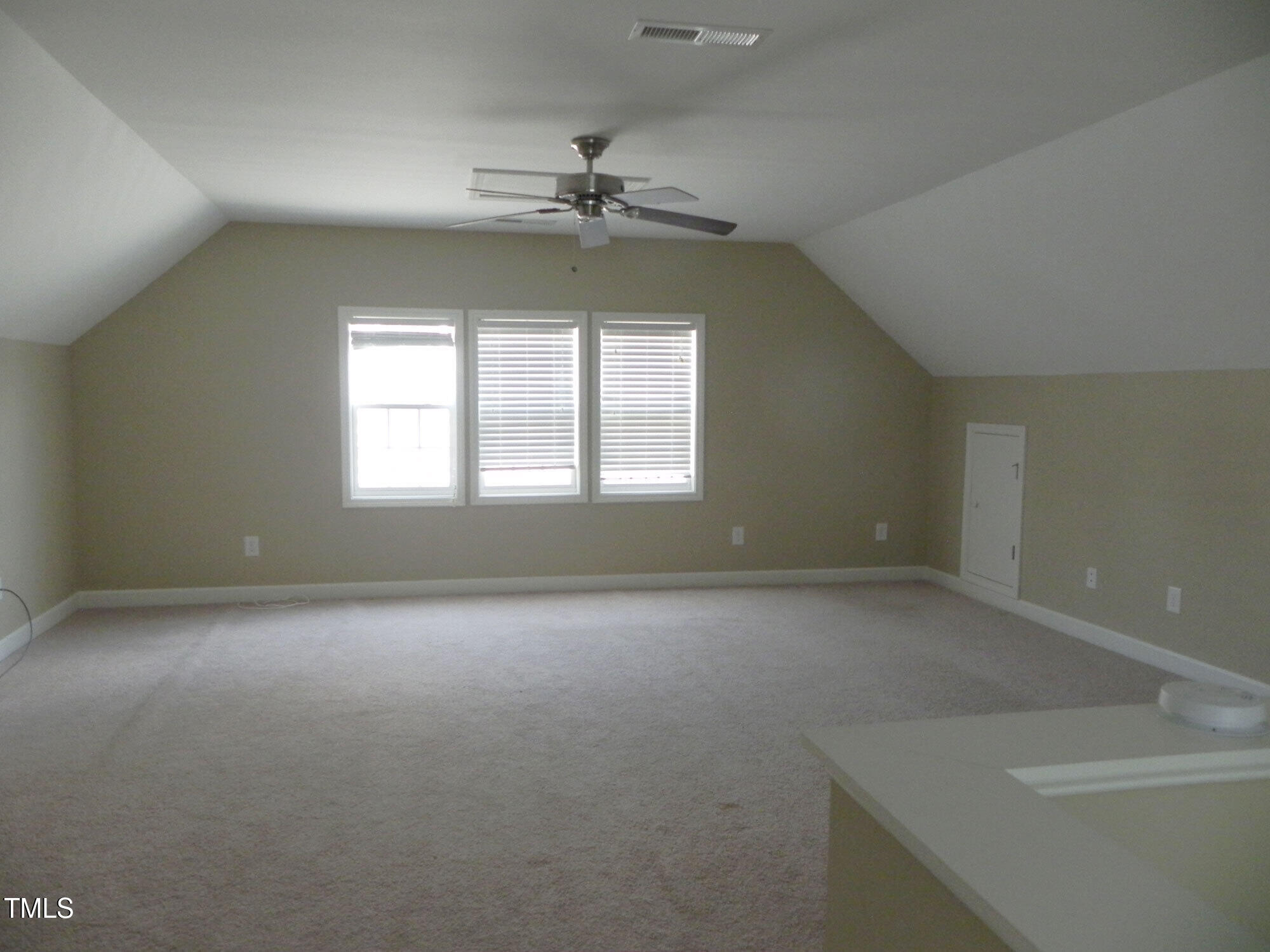217 Butterbiggins Lane Property Photo 12