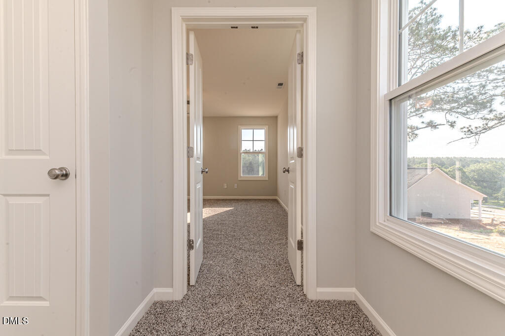 30 Blackgum Court Property Photo 15