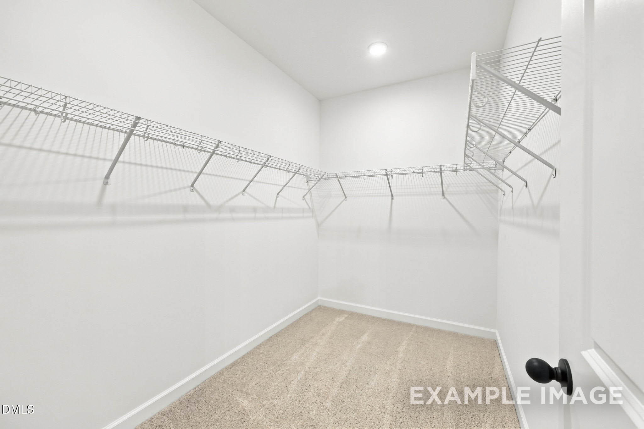 816 Carpet Grass Avenue Property Photo 22