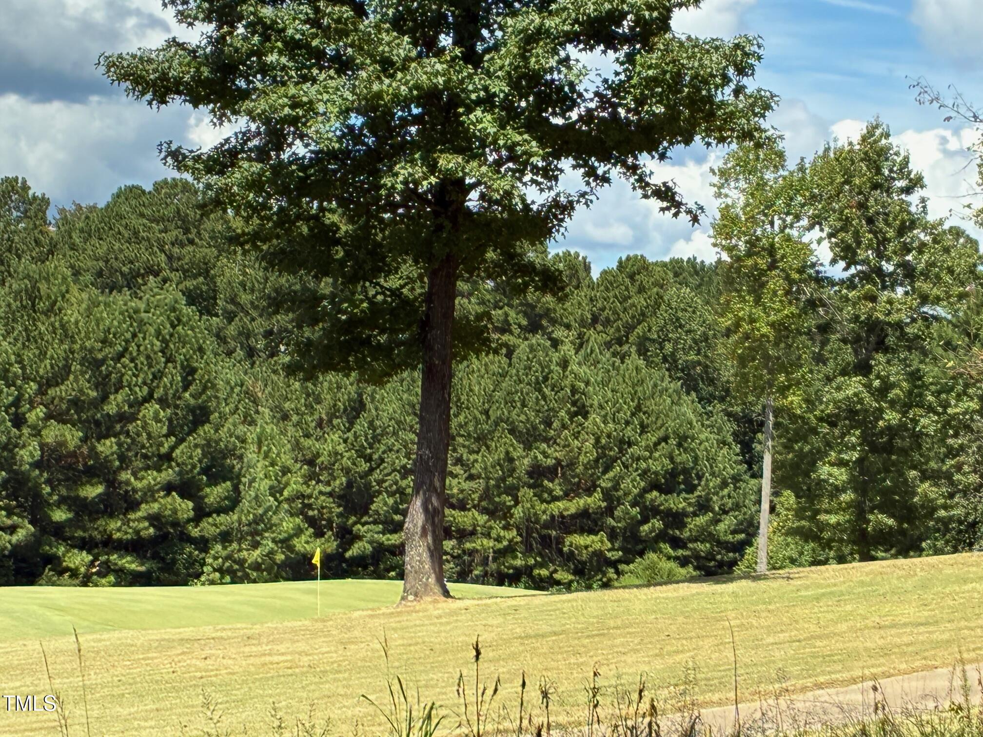 44 Sweet Meadow Lane Property Photo 1