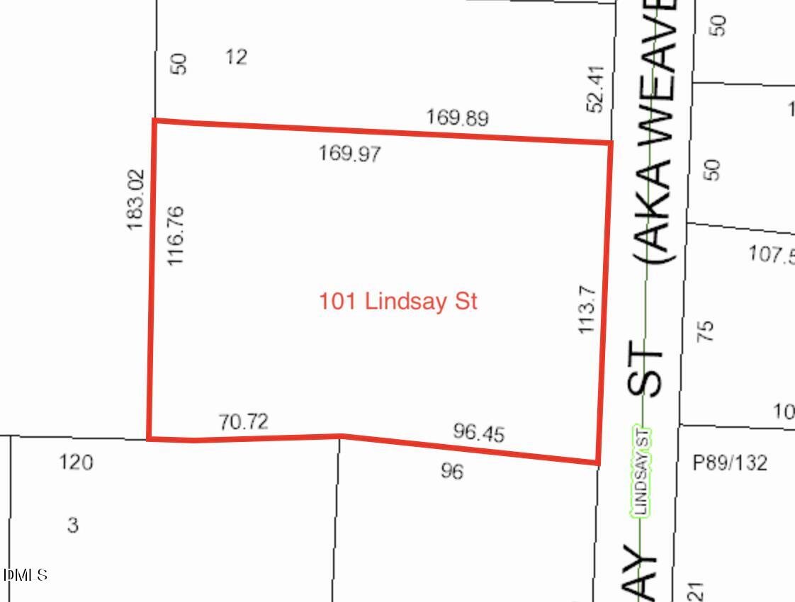101 Lindsay Street Property Photo 29