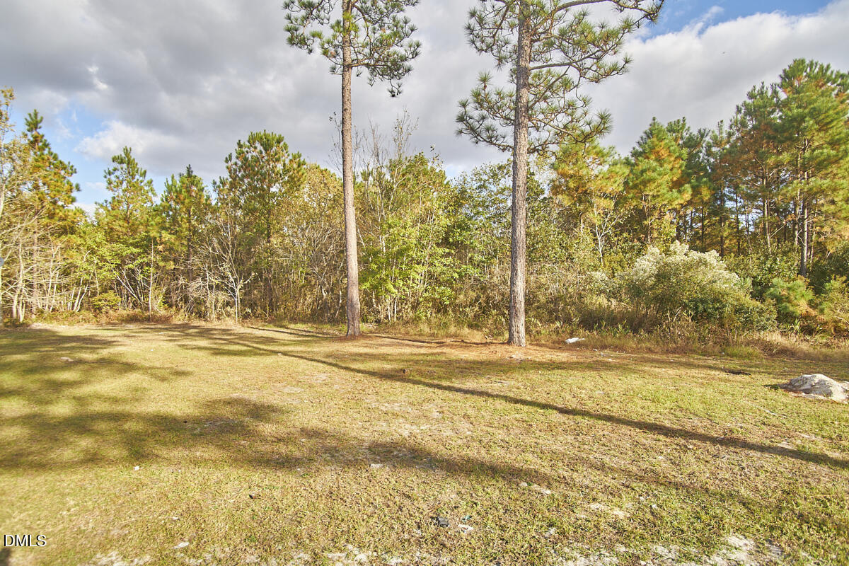 125 Harley Lane Property Photo 11