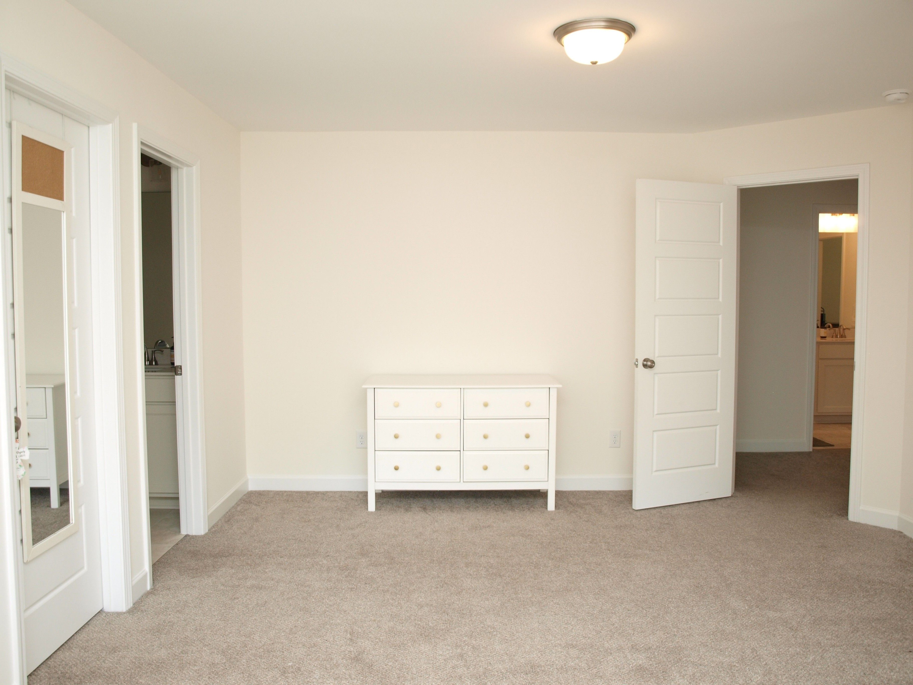 373 Abingdon Farms Drive Property Photo 17