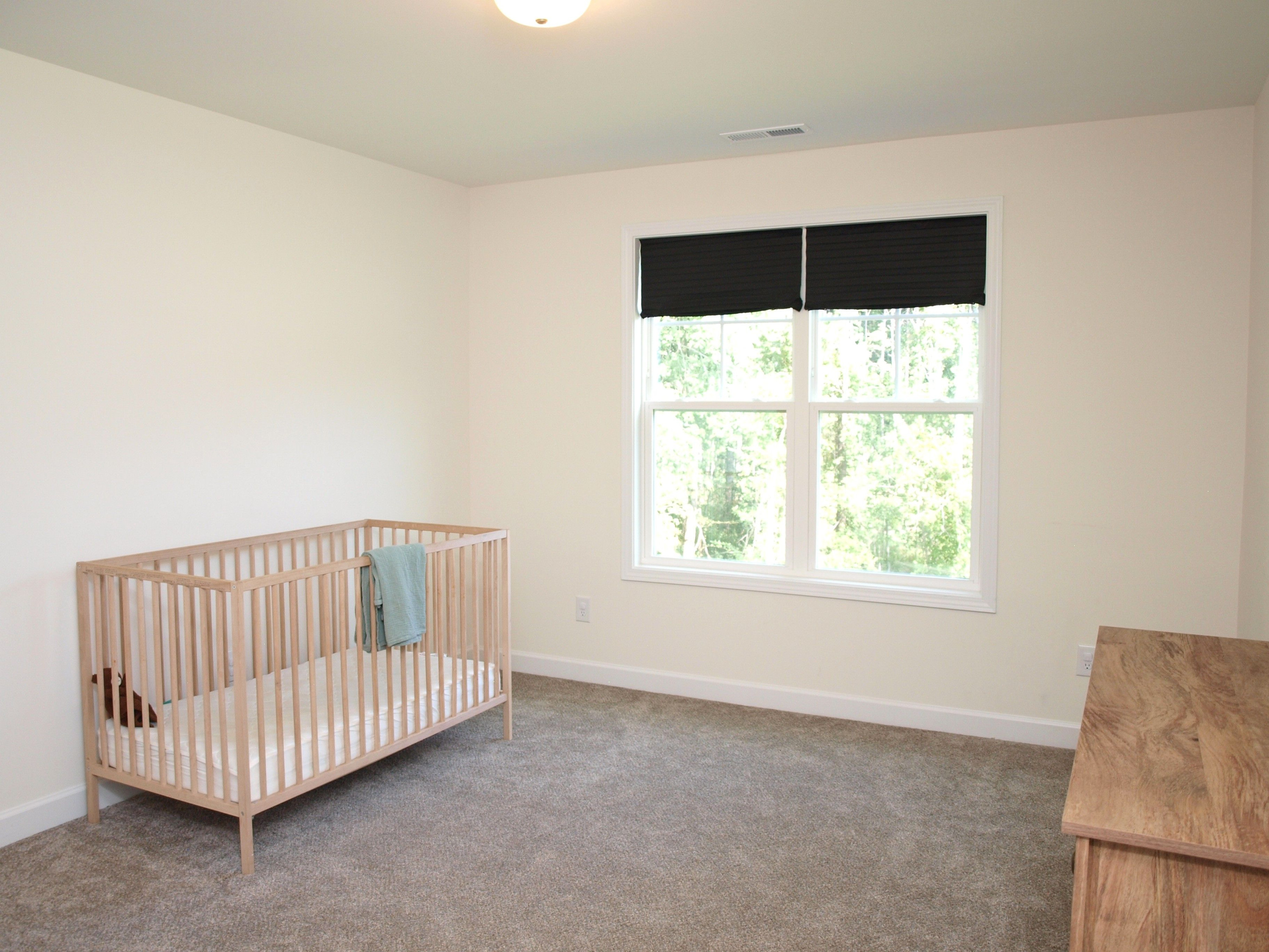 373 Abingdon Farms Drive Property Photo 19