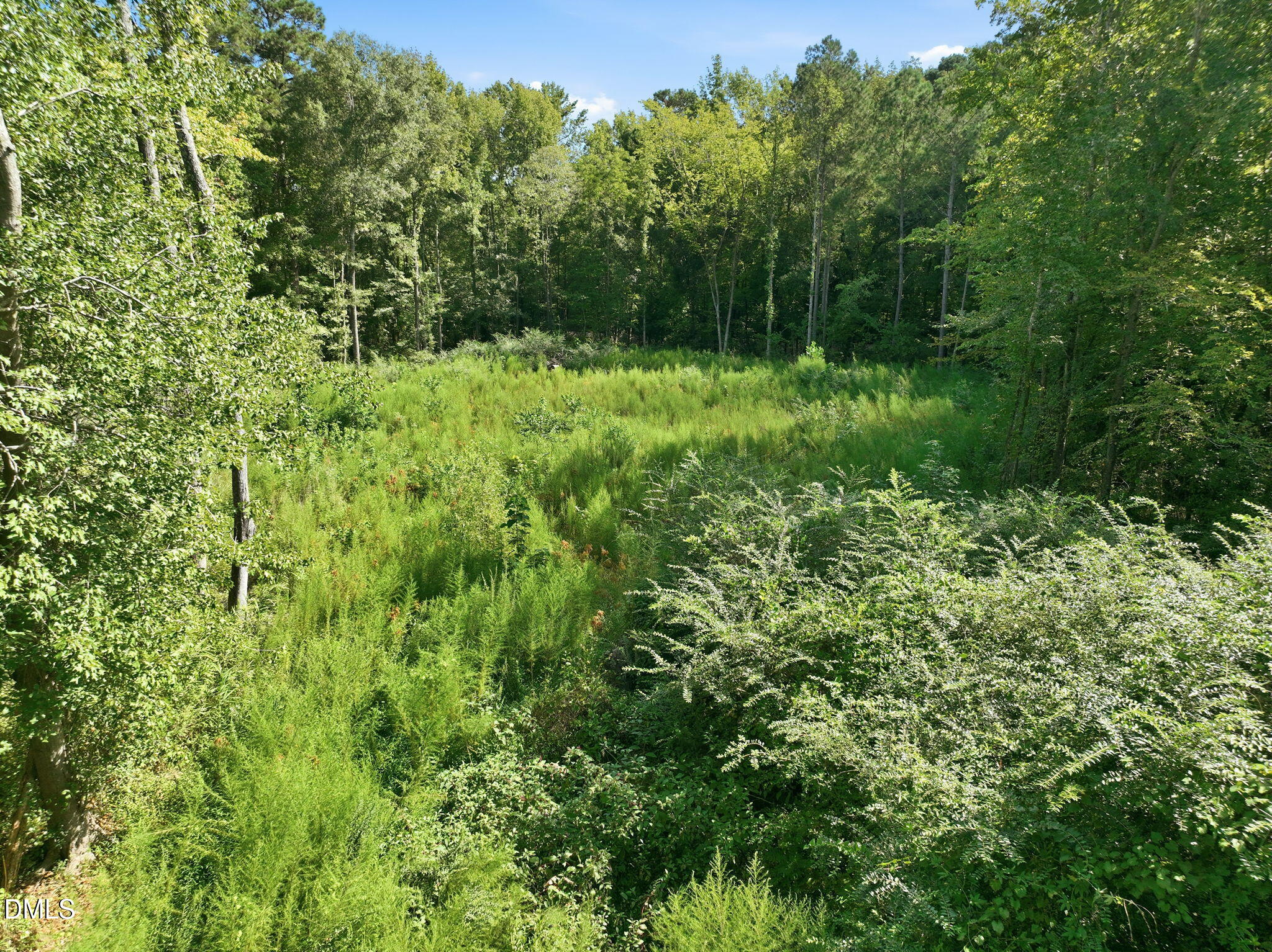 207 Pendergraft Road Property Photo 4