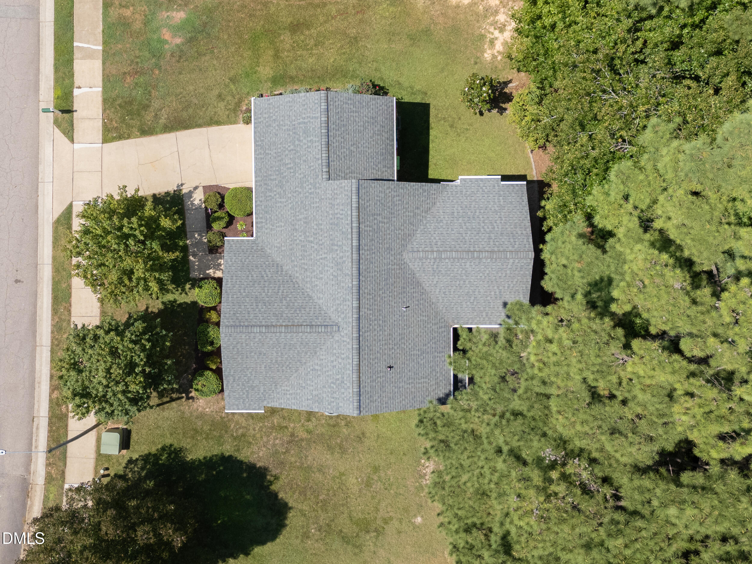 3833 Lodgepole Lane Property Photo 46