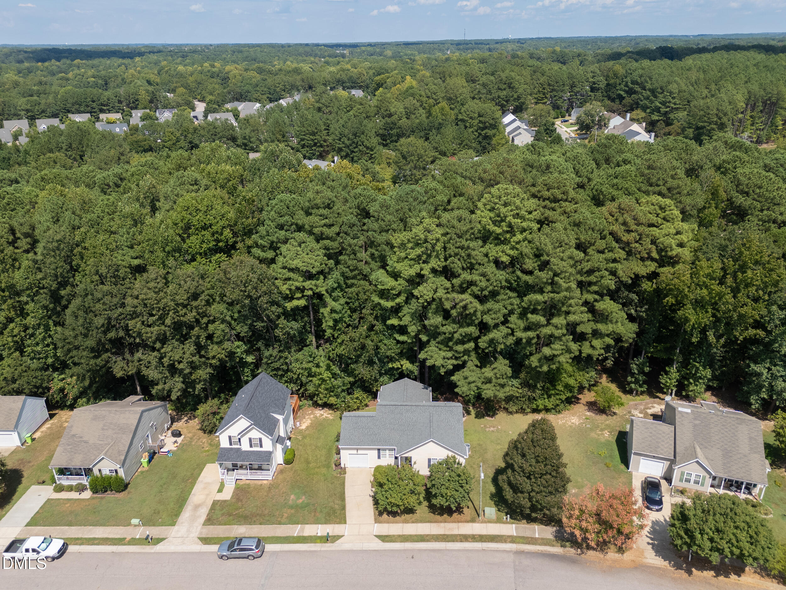 3833 Lodgepole Lane Property Photo 48