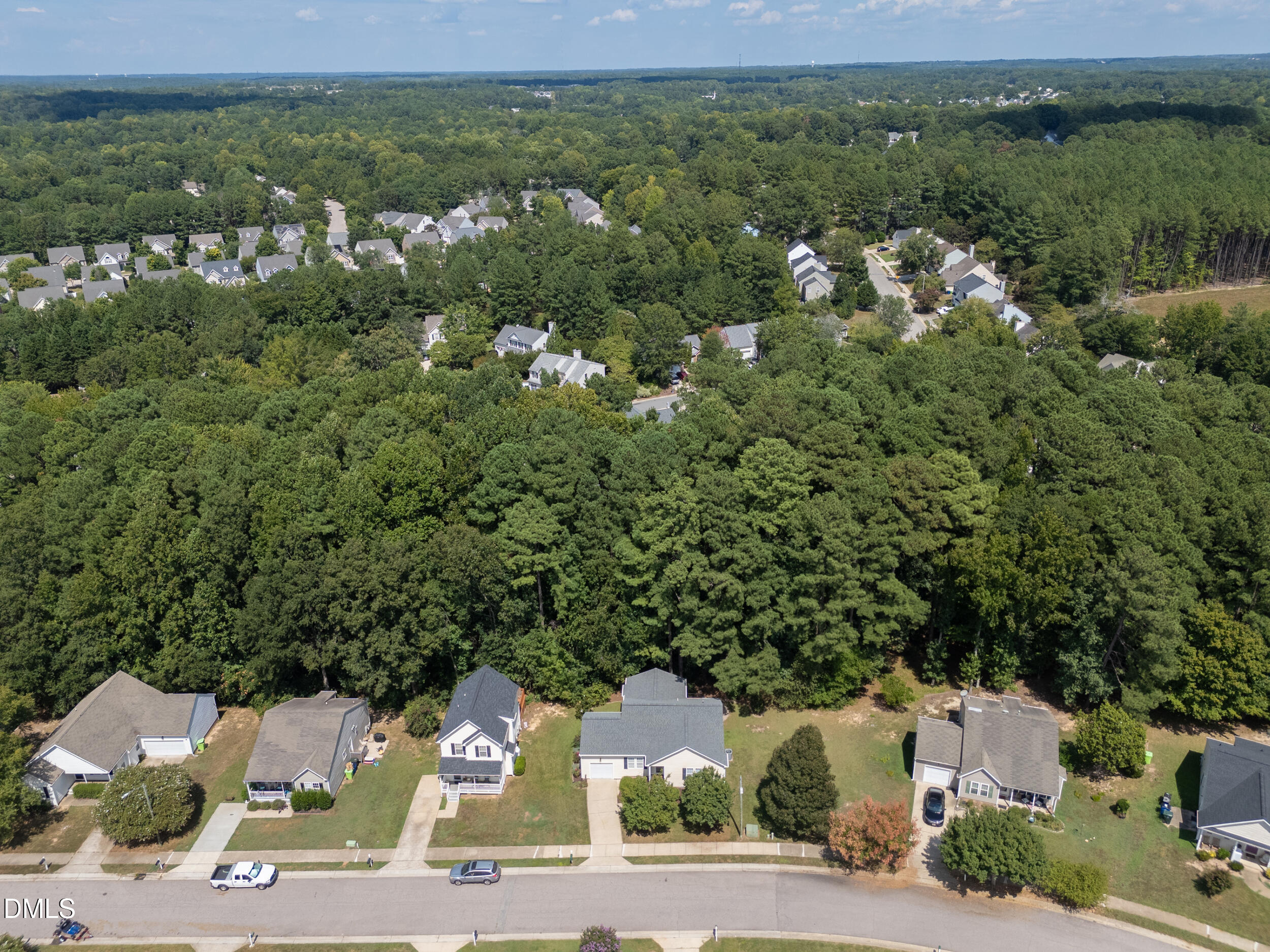 3833 Lodgepole Lane Property Photo 49