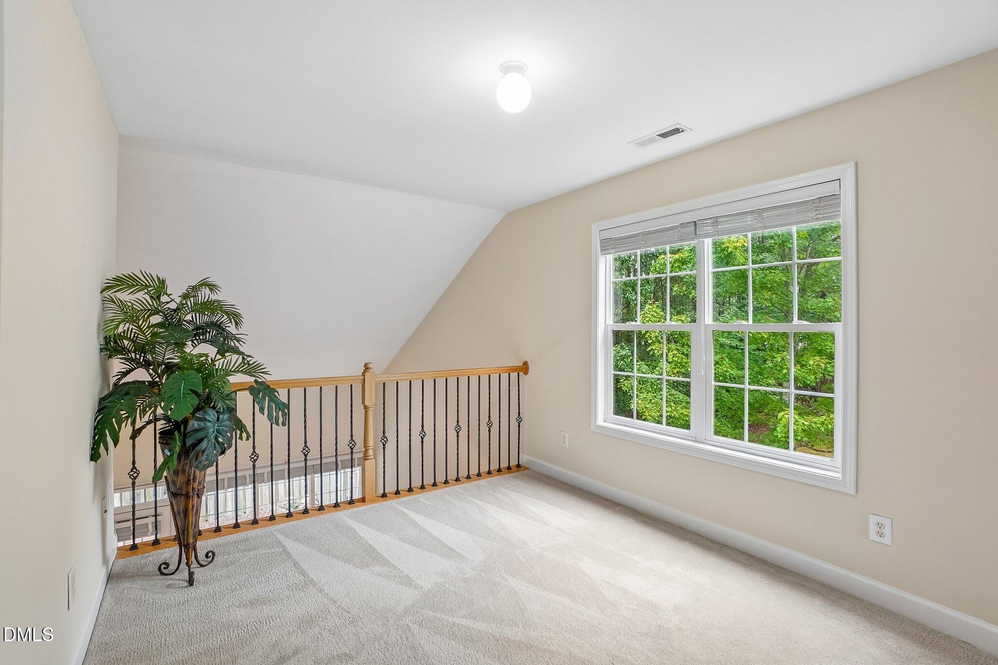 807 Swan Neck Lane Property Photo 22